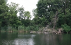 IMG_3317_resize