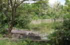 IMG_7792_resize
