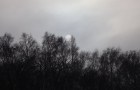 IMG_9528_resize