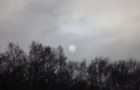 IMG_9536_resize