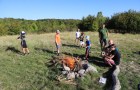 IMG_9019_resize