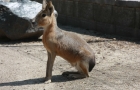 IMG_3660_resize