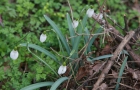 IMG_1746_resize