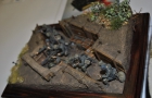 DSC_0435_resize