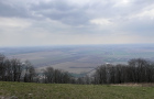 IMG_4749