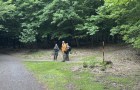IMG_7187_resize