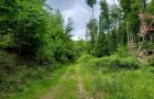 foto17_resize