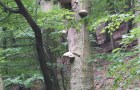 foto19_resize