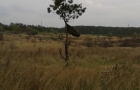 2012-04-15 12.15.40_resize