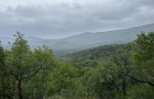 IMG_1590_resize