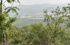 IMG_1591_resize