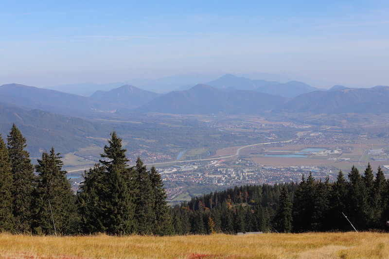 IMG_1364_resize