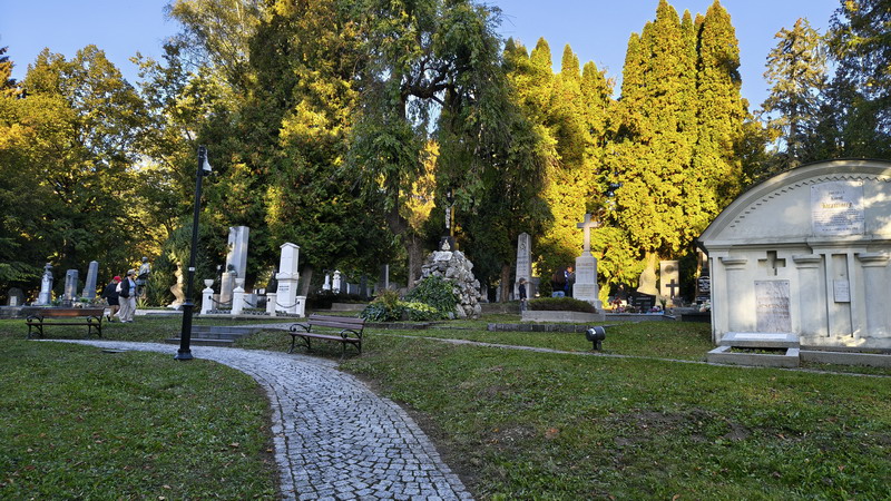 IMG_20261002_170443038_HDR_resize