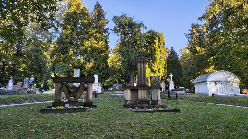 IMG_20261002_170515401_HDR_resize