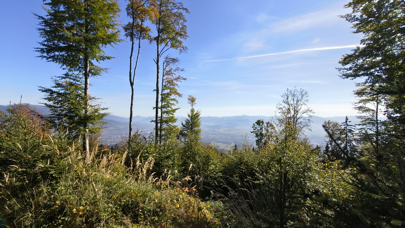 IMG_20261003_103559521_HDR_resize