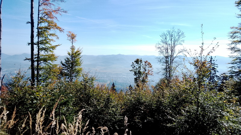 IMG_20261003_103635_resize