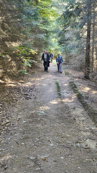IMG_20261003_120048034_HDR_resize