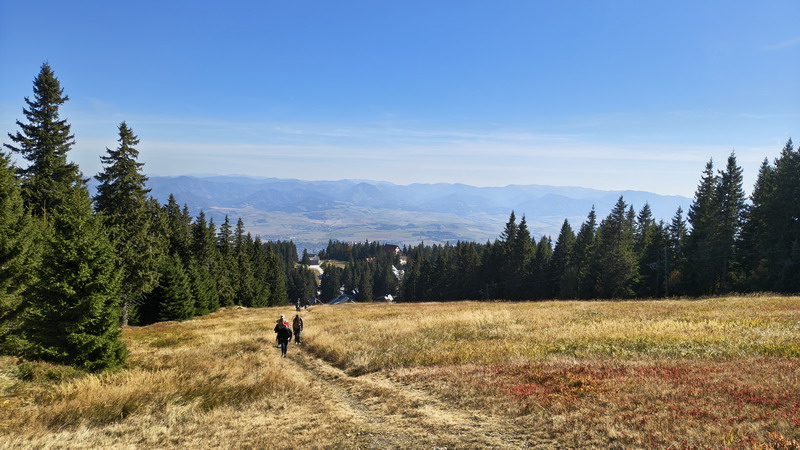 IMG_20261003_130728196_HDR_resize