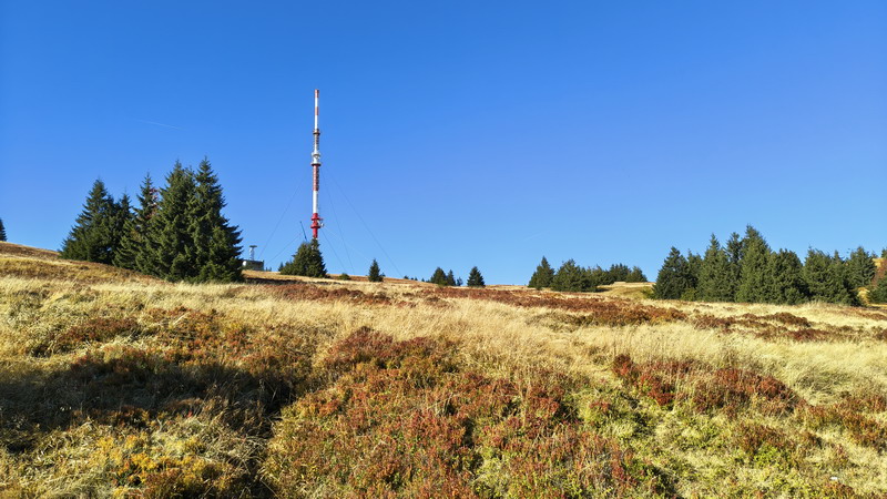 IMG_20261003_151411635_HDR_resize
