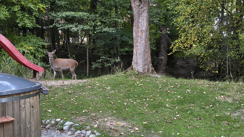 IMG_20261003_182139396_HDR_resize