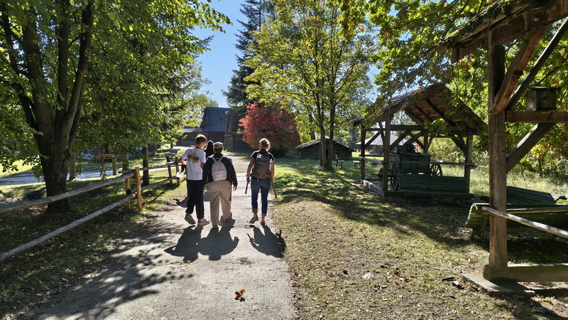IMG_20261004_115900105_HDR_resize