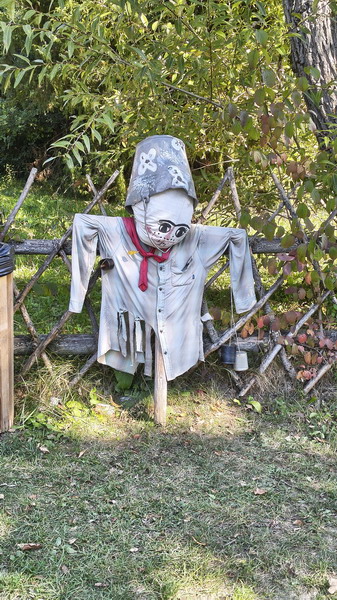IMG_20261004_115958417_HDR_resize