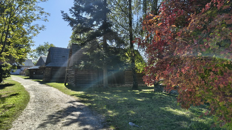 IMG_20261004_120138872_HDR_resize