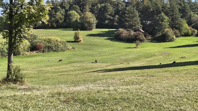 IMG_20261004_121721388_HDR_resize