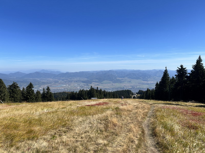 IMG_6111_resize