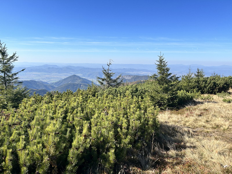 IMG_6123_resize