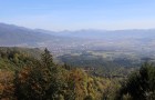 IMG_1338_resize