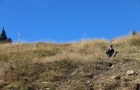 IMG_1342_resize