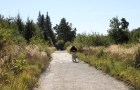 IMG_1406_resize