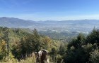 IMG_1717a_resize