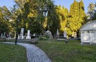 IMG_20261002_170443038_HDR_resize