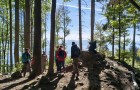 IMG_20261003_103152766_HDR_resize