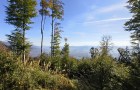 IMG_20261003_103559521_HDR_resize