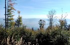 IMG_20261003_103635_resize