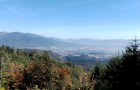 IMG_20261003_114527_resize
