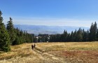 IMG_20261003_130728196_HDR_resize