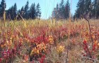 IMG_20261003_131142_resize