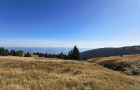 IMG_20261003_135750230_HDR_resize