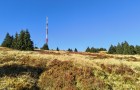 IMG_20261003_151411635_HDR_resize