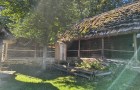 IMG_20261004_124814458_HDR_resize