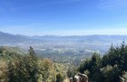 IMG_6108_resize