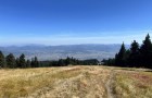 IMG_6111_resize