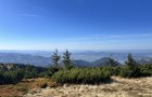 IMG_6120_resize