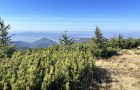 IMG_6123_resize