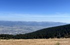 IMG_6129_resize
