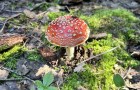 IMG_6138_resize